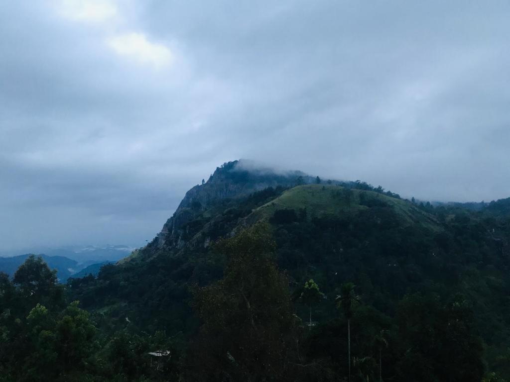 Minthu Homestay Ella Kültér fotó
